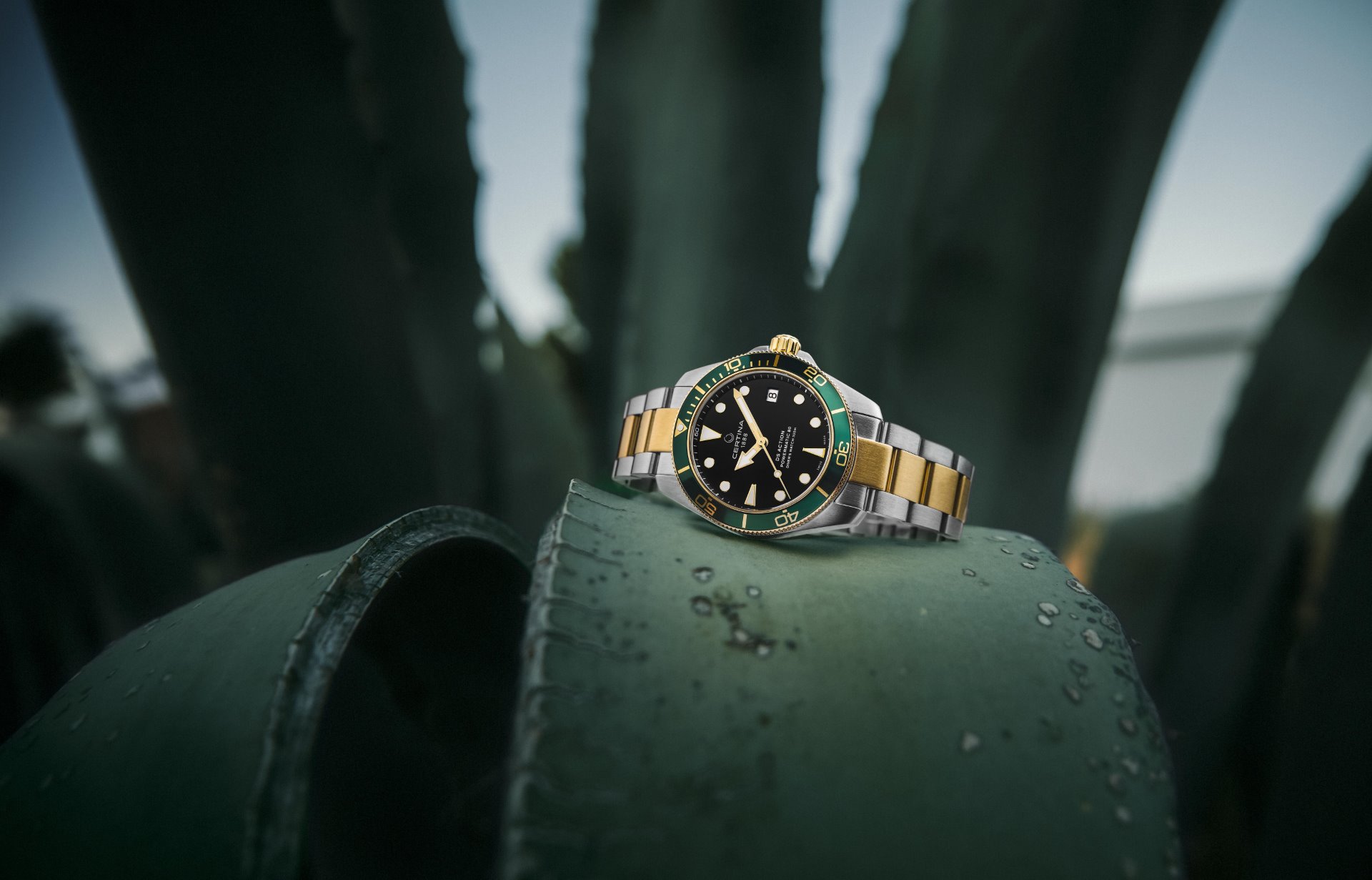 Certina DS Action Diver 38 mm Watch I Love