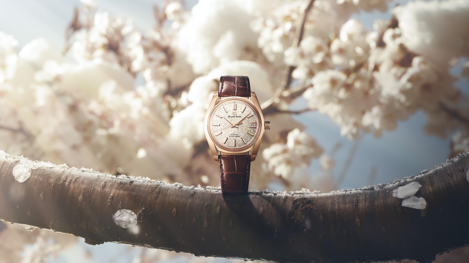 GrandSeiko-
