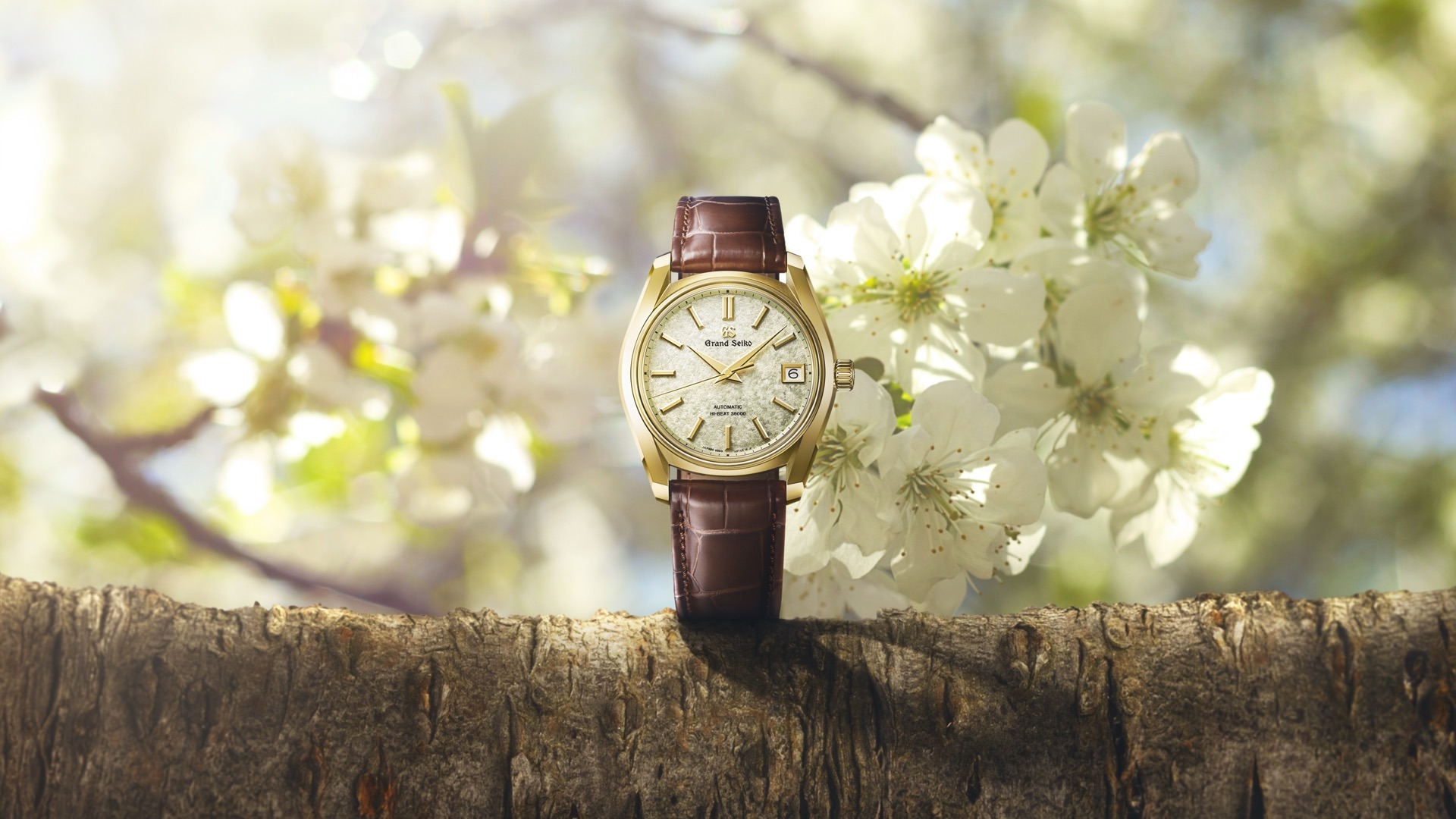 G*a様 SEIKOクォーツ腕時計 ゴールド Grand Seiko SBGH376 Sakura-Wakaba in 18K Yellow Gold - Watch I Love